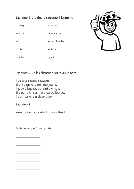 Le nom – Fiche d’introduction – francais – ressource pédagogique SDMcollective