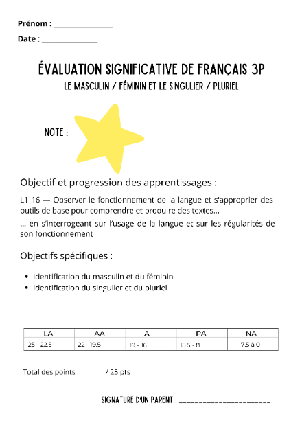 Ts masculin féminin - singulier pluriel 3P – francais – ressource pédagogique SDMcollective