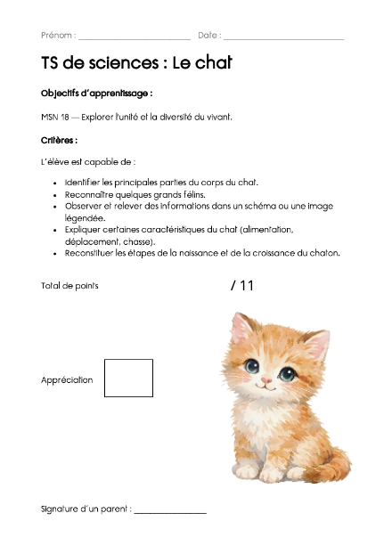Test significatif – Le chat et la diversité du vivant – Sciences 3P-4P – sciences – ressource pédagogique SDMcollective