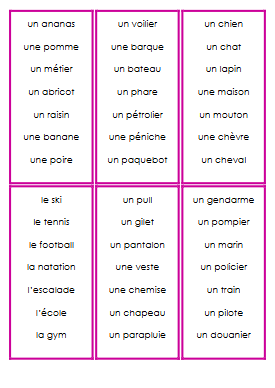 5P - M2 - Termes génériques et spécifiques – francais – ressource pédagogique SDMcollective