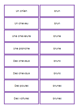 5P - M3 - Accord dans le GN 1 – francais – ressource pédagogique SDMcollective