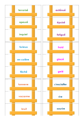 M3 - Les mots de sens proche - échelle – francais – ressource pédagogique SDMcollective